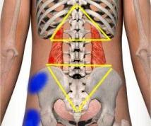 腰椎问题基础辩证取穴思路