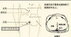 萨满48穴取穴点。萨满罐取穴方法参考。