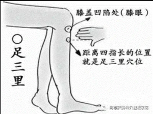 萨满48穴取穴点。萨满罐取穴方法参考。