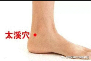 萨满48穴取穴点。萨满罐取穴方法参考。